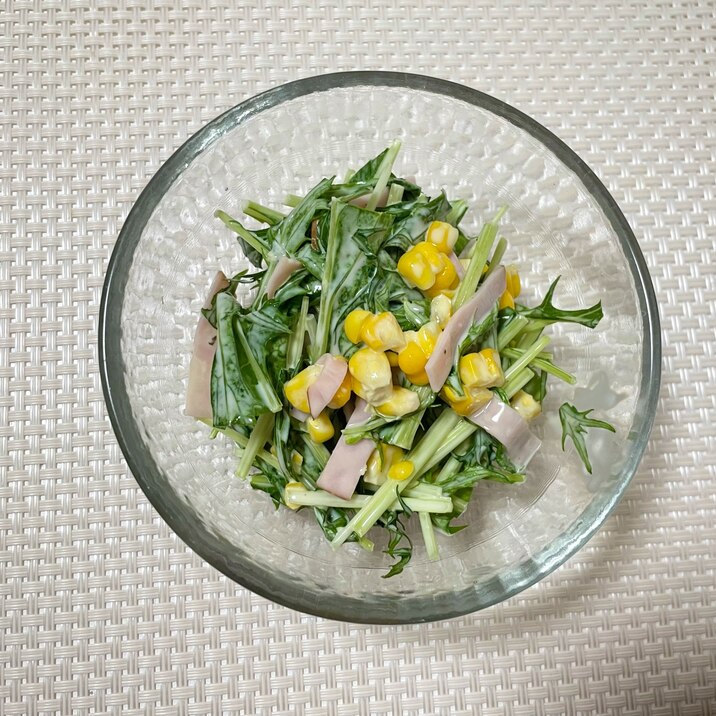 シャキシャキ水菜のコールスロー風サラダ